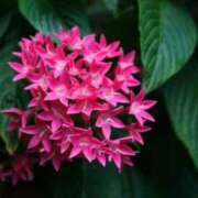 ヒメ日記 2025/09/16 07:15 投稿 三原 さゆり ベストマダム