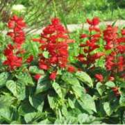 ヒメ日記 2025/09/19 07:15 投稿 三原 さゆり ベストマダム