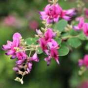 ヒメ日記 2025/09/24 07:15 投稿 三原 さゆり ベストマダム