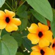 ヒメ日記 2025/09/29 07:15 投稿 三原 さゆり ベストマダム