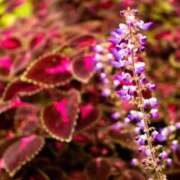 ヒメ日記 2025/10/02 07:15 投稿 三原 さゆり ベストマダム