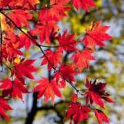 ヒメ日記 2025/10/03 07:16 投稿 三原 さゆり ベストマダム