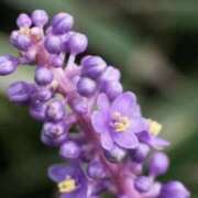 ヒメ日記 2025/10/06 06:30 投稿 三原 さゆり ベストマダム