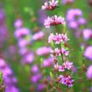 ヒメ日記 2025/10/11 07:15 投稿 三原 さゆり ベストマダム