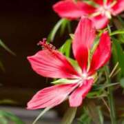 ヒメ日記 2025/10/13 07:15 投稿 三原 さゆり ベストマダム