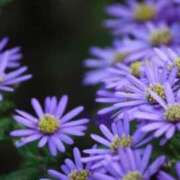 ヒメ日記 2025/10/14 07:15 投稿 三原 さゆり ベストマダム