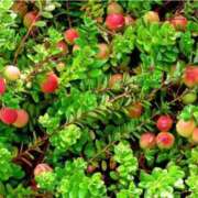 ヒメ日記 2025/10/18 07:15 投稿 三原 さゆり ベストマダム