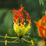 ヒメ日記 2025/10/19 07:15 投稿 三原 さゆり ベストマダム