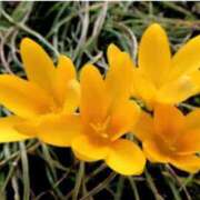 ヒメ日記 2025/10/21 07:15 投稿 三原 さゆり ベストマダム