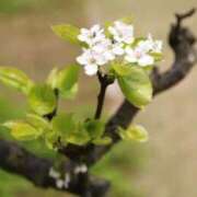 ヒメ日記 2025/10/24 07:15 投稿 三原 さゆり ベストマダム