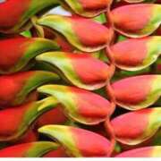 ヒメ日記 2025/10/31 07:15 投稿 三原 さゆり ベストマダム