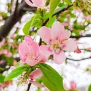 ヒメ日記 2025/11/01 07:15 投稿 三原 さゆり ベストマダム