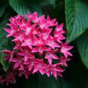 ヒメ日記 2025/11/05 07:15 投稿 三原 さゆり ベストマダム