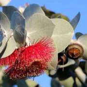 ヒメ日記 2025/11/07 07:15 投稿 三原 さゆり ベストマダム