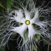 ヒメ日記 2025/11/11 07:15 投稿 三原 さゆり ベストマダム