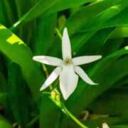 ヒメ日記 2025/11/21 07:15 投稿 三原 さゆり ベストマダム