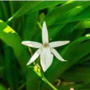 ヒメ日記 2025/11/22 07:15 投稿 三原 さゆり ベストマダム