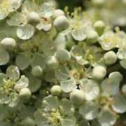 ヒメ日記 2025/11/23 07:30 投稿 三原 さゆり ベストマダム