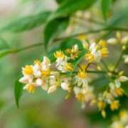 ヒメ日記 2025/12/05 07:15 投稿 三原 さゆり ベストマダム