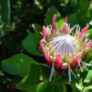 ヒメ日記 2025/12/06 07:15 投稿 三原 さゆり ベストマダム