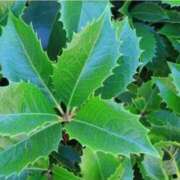 ヒメ日記 2025/12/07 07:15 投稿 三原 さゆり ベストマダム