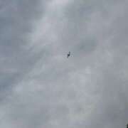 ヒメ日記 2025/12/11 10:57 投稿 三原 さゆり ベストマダム