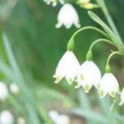 ヒメ日記 2025/12/19 07:15 投稿 三原 さゆり ベストマダム