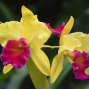 ヒメ日記 2025/12/20 07:15 投稿 三原 さゆり ベストマダム