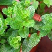 ヒメ日記 2025/12/21 07:15 投稿 三原 さゆり ベストマダム