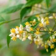 ヒメ日記 2025/12/29 07:15 投稿 三原 さゆり ベストマダム