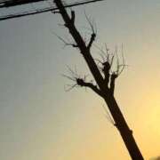 ヒメ日記 2025/12/30 07:31 投稿 三原 さゆり ベストマダム