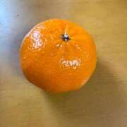 ヒメ日記 2025/12/30 13:00 投稿 三原 さゆり ベストマダム