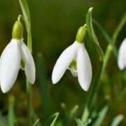 ヒメ日記 2026/01/01 07:15 投稿 三原 さゆり ベストマダム