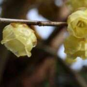 ヒメ日記 2026/01/02 07:15 投稿 三原 さゆり ベストマダム