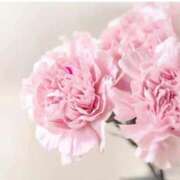 ヒメ日記 2026/01/11 07:15 投稿 三原 さゆり ベストマダム