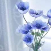 ヒメ日記 2026/01/22 07:15 投稿 三原 さゆり ベストマダム