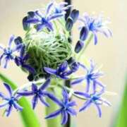 ヒメ日記 2026/01/24 07:15 投稿 三原 さゆり ベストマダム