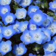 ヒメ日記 2026/01/28 07:15 投稿 三原 さゆり ベストマダム