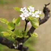 ヒメ日記 2026/02/01 07:15 投稿 三原 さゆり ベストマダム