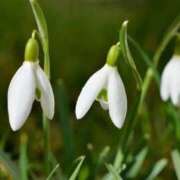 ヒメ日記 2026/02/02 07:15 投稿 三原 さゆり ベストマダム