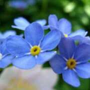 ヒメ日記 2026/02/07 07:15 投稿 三原 さゆり ベストマダム