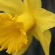 ヒメ日記 2026/02/09 07:15 投稿 三原 さゆり ベストマダム