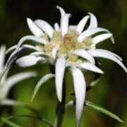 ヒメ日記 2026/02/13 07:15 投稿 三原 さゆり ベストマダム