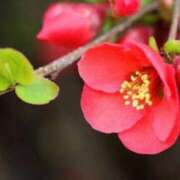 ヒメ日記 2026/02/17 07:15 投稿 三原 さゆり ベストマダム