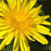 ヒメ日記 2026/02/18 07:15 投稿 三原 さゆり ベストマダム