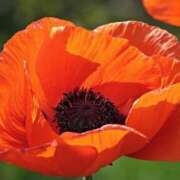 ヒメ日記 2026/02/23 07:15 投稿 三原 さゆり ベストマダム