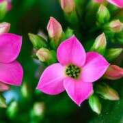 ヒメ日記 2026/02/25 07:15 投稿 三原 さゆり ベストマダム