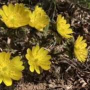 ヒメ日記 2026/02/26 07:15 投稿 三原 さゆり ベストマダム