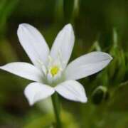 ヒメ日記 2026/02/27 07:15 投稿 三原 さゆり ベストマダム