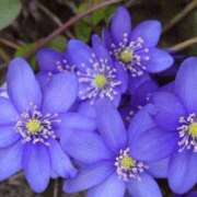 ヒメ日記 2026/02/28 07:15 投稿 三原 さゆり ベストマダム